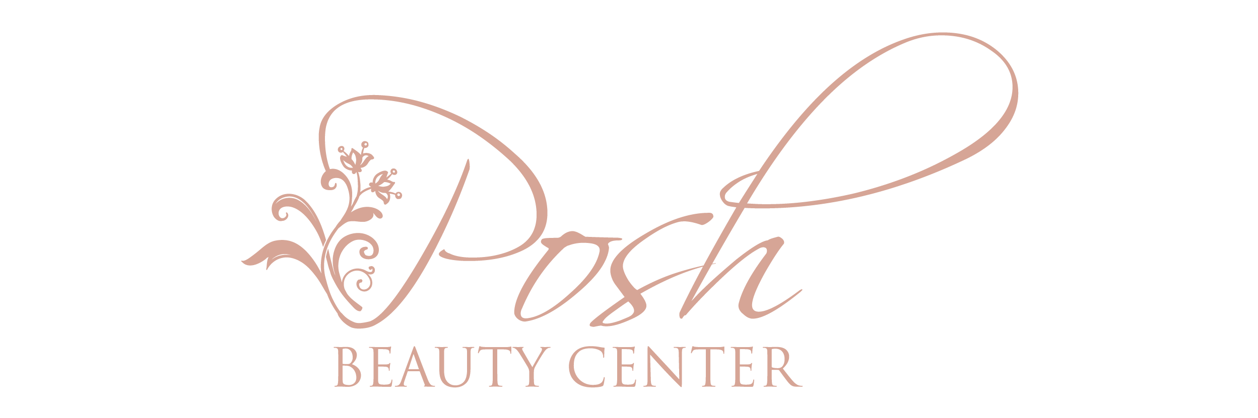 Posh Beauty  Center Logo
